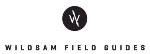 Wildsam logo